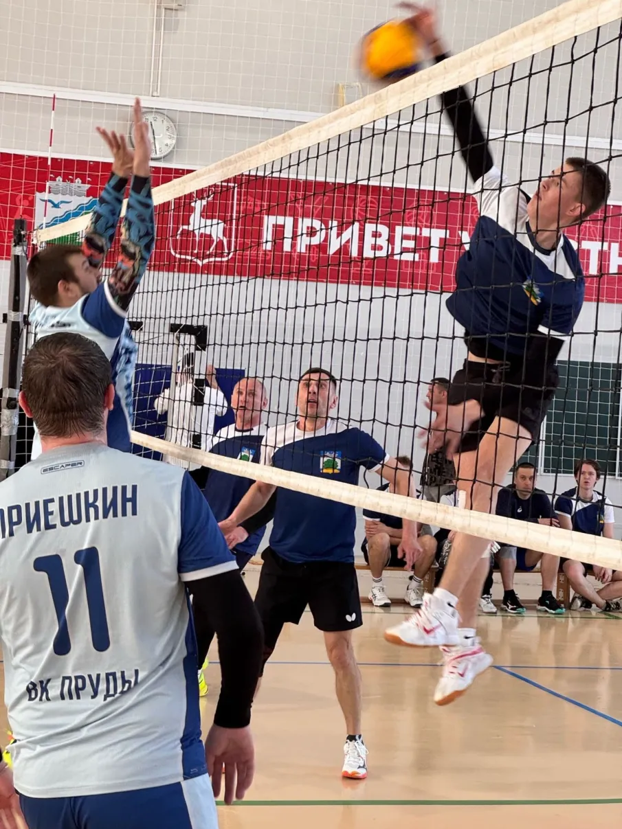 Ежегодный турнир по волейболу среди мужских любительских команд памяти тренера Смирнова Сергея Леонидовича